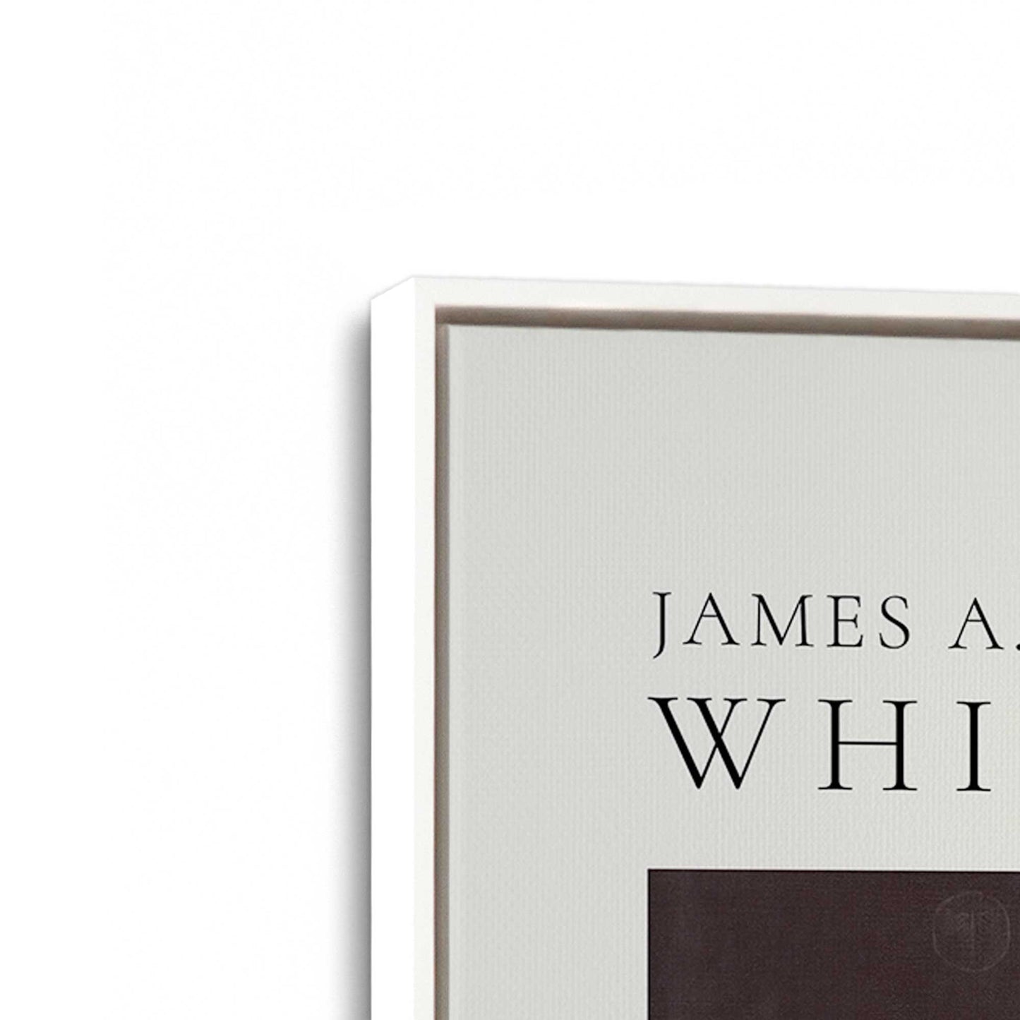 [Color:Opaque White], Picture of art in a White frame at an angle