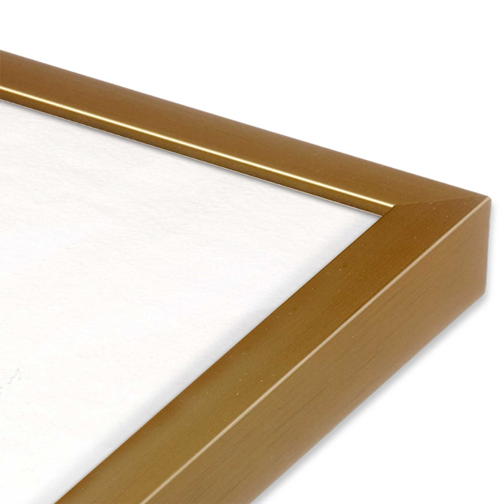 [Color:Polished Gold], Picture of art in a Polished Gold frame of the corner #2