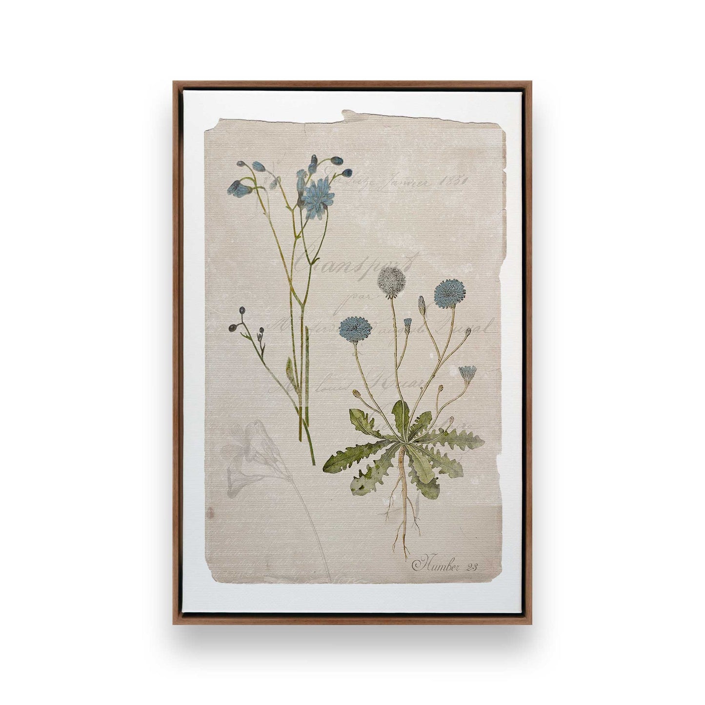 [Color:Walnut], Picture of art in a Walnut frame