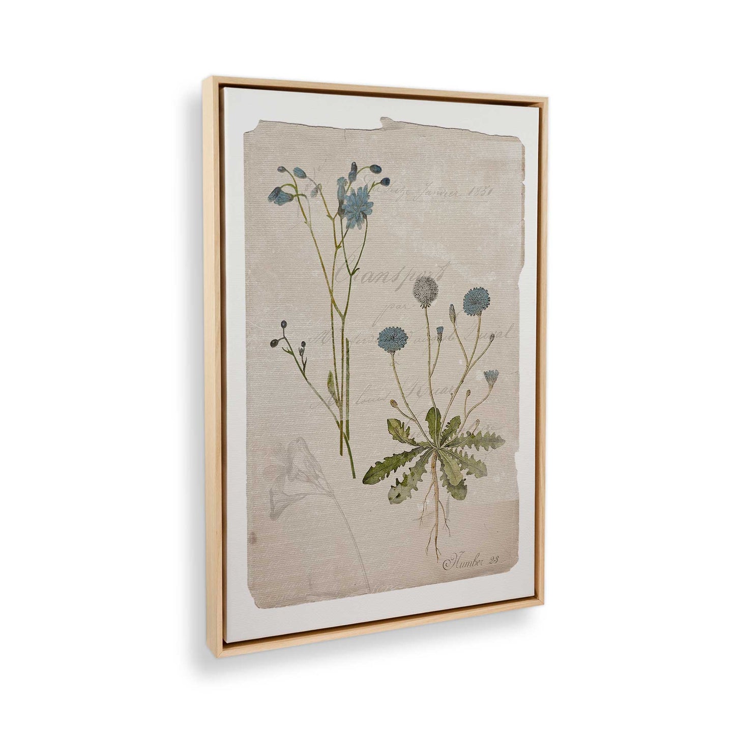 [Color:American Maple], Picture of the corner of the art
