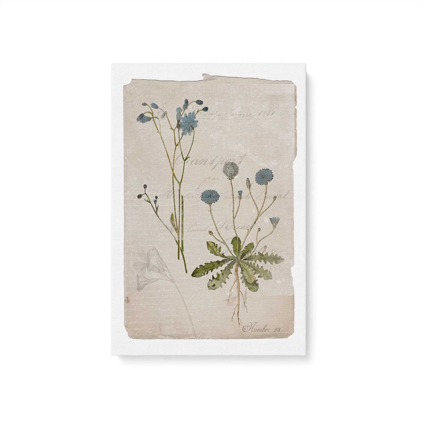 [Color:Stretched Canvas], Picture of art