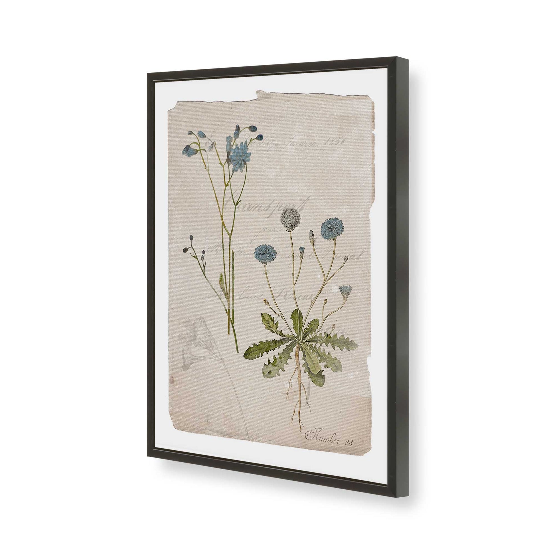 [Color:Satin Black], Picture of art in a Satin Black frame of the corner