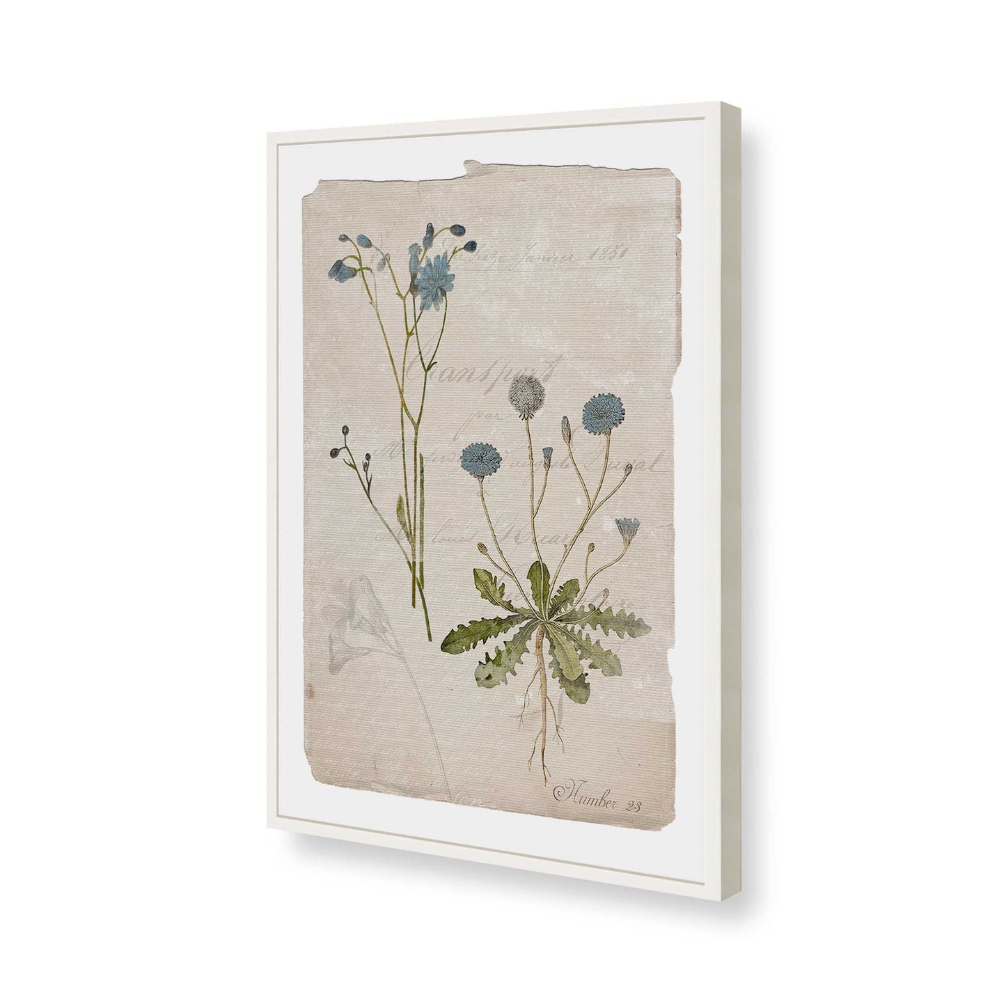 [Color:Opaque White], Picture of art in a Opaque White frame of the corner