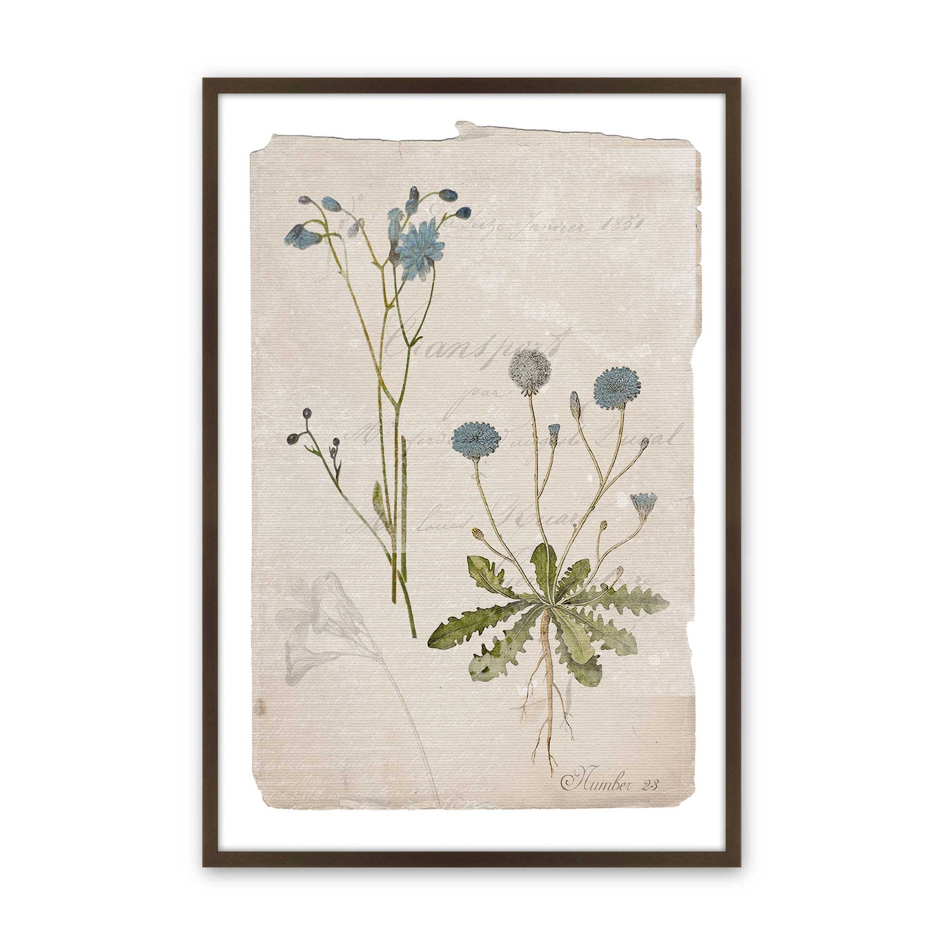 [Color:Brown], Picture of art in a Brown frame