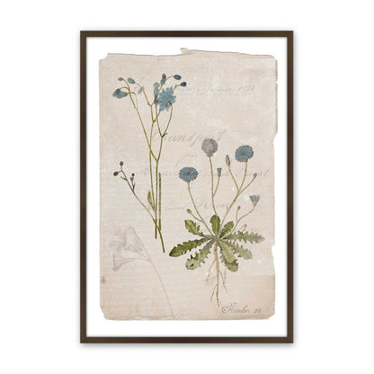 [Color:Brown], Picture of art in a Brown frame