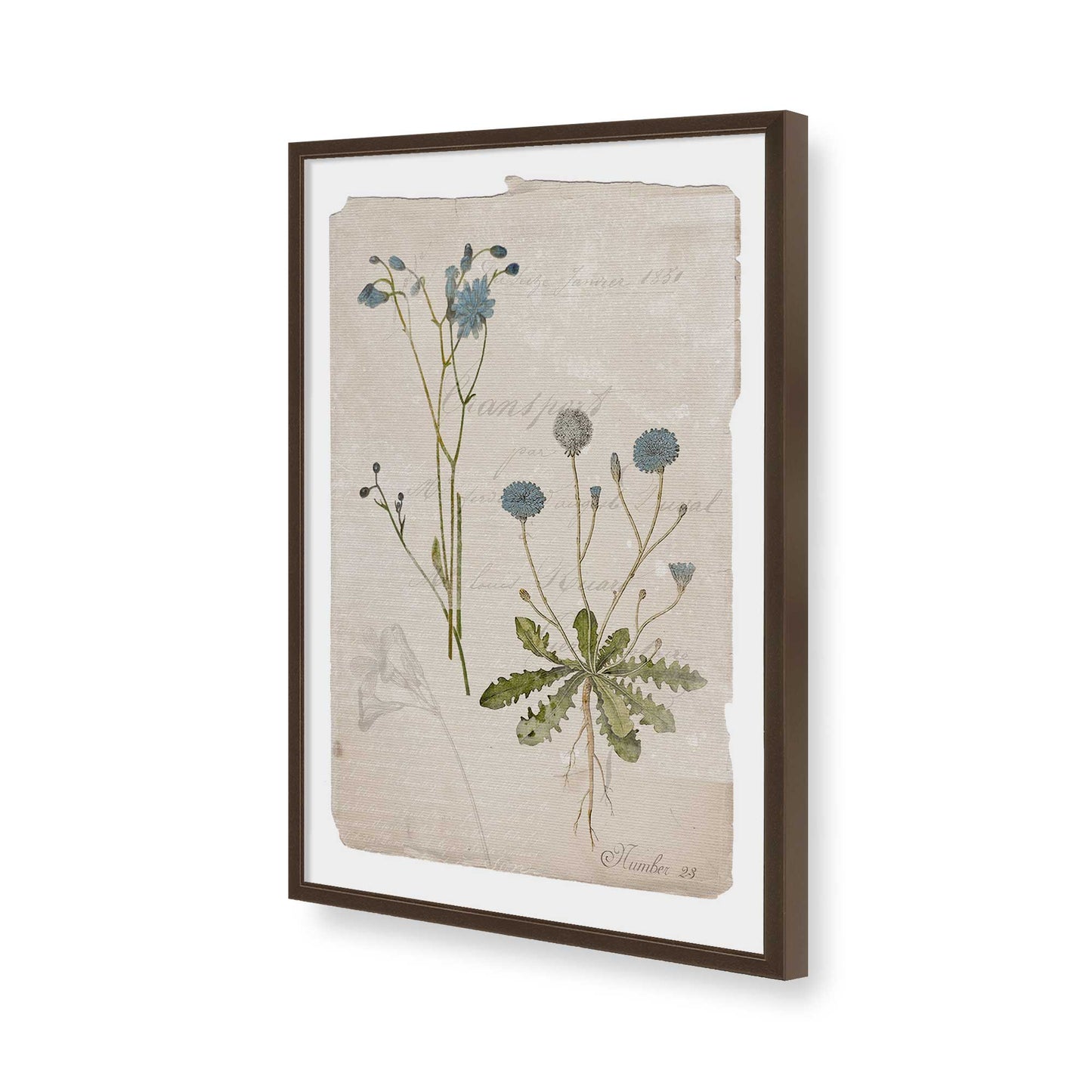 [Color:Belvinder Brown], Picture of art in a Belvinder Brown frame of the corner