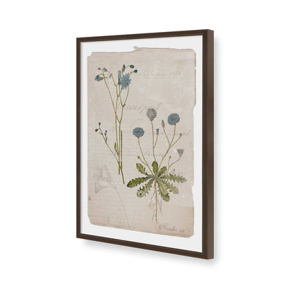 [Color:Belvinder Brown], Picture of art in a Belvinder Brown frame of the corner
