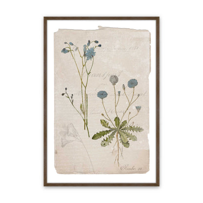 [Color:Walnut], Picture of art in a Walnut frame