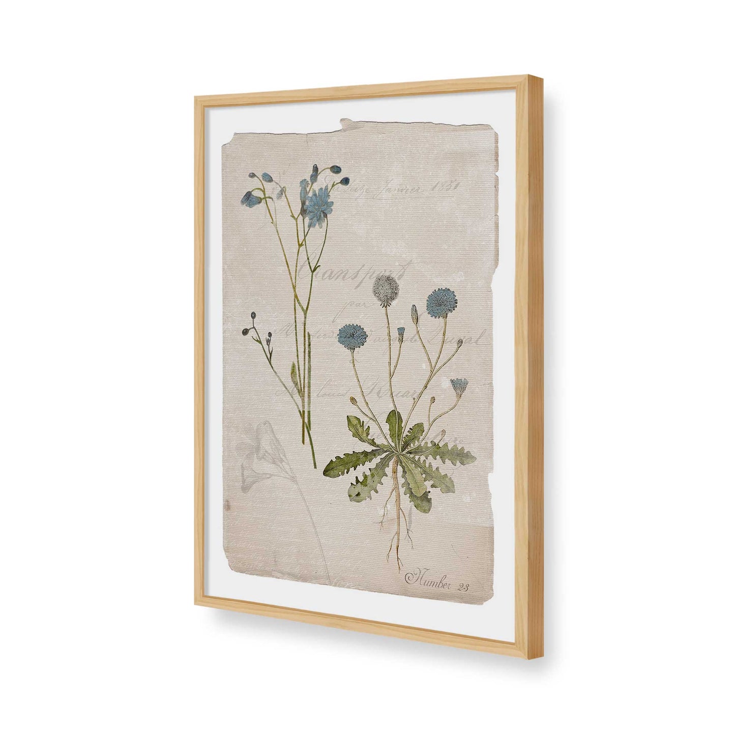 [Color:American Maple], Picture of art in a American Maple frame of the corner