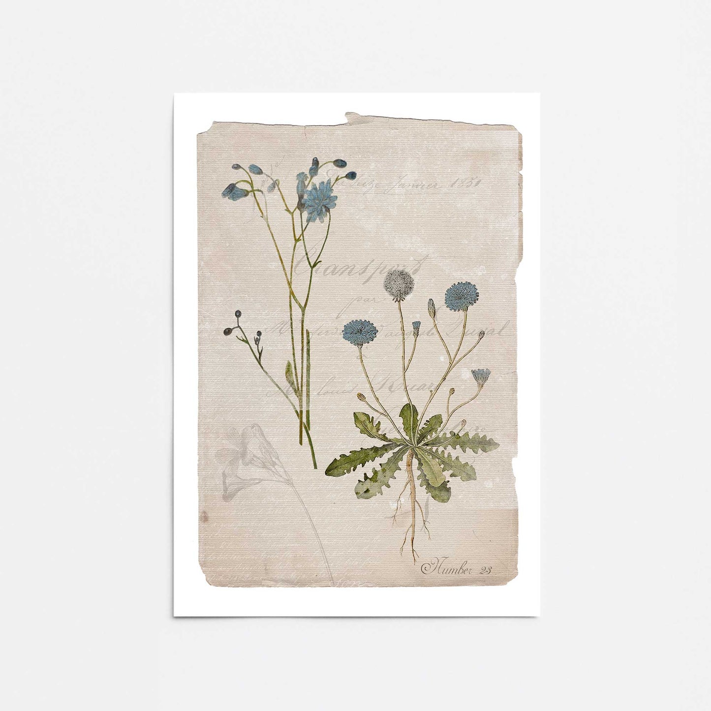 [Color:Rolled Print], Picture of close up of art