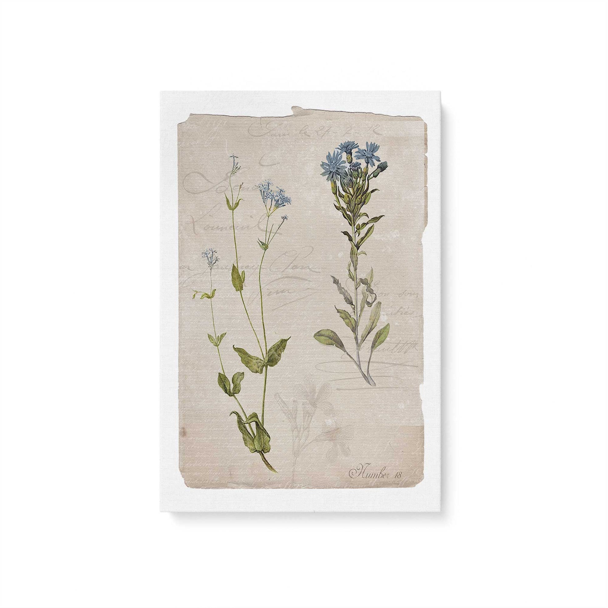 [Color:Stretched Canvas], Picture of art