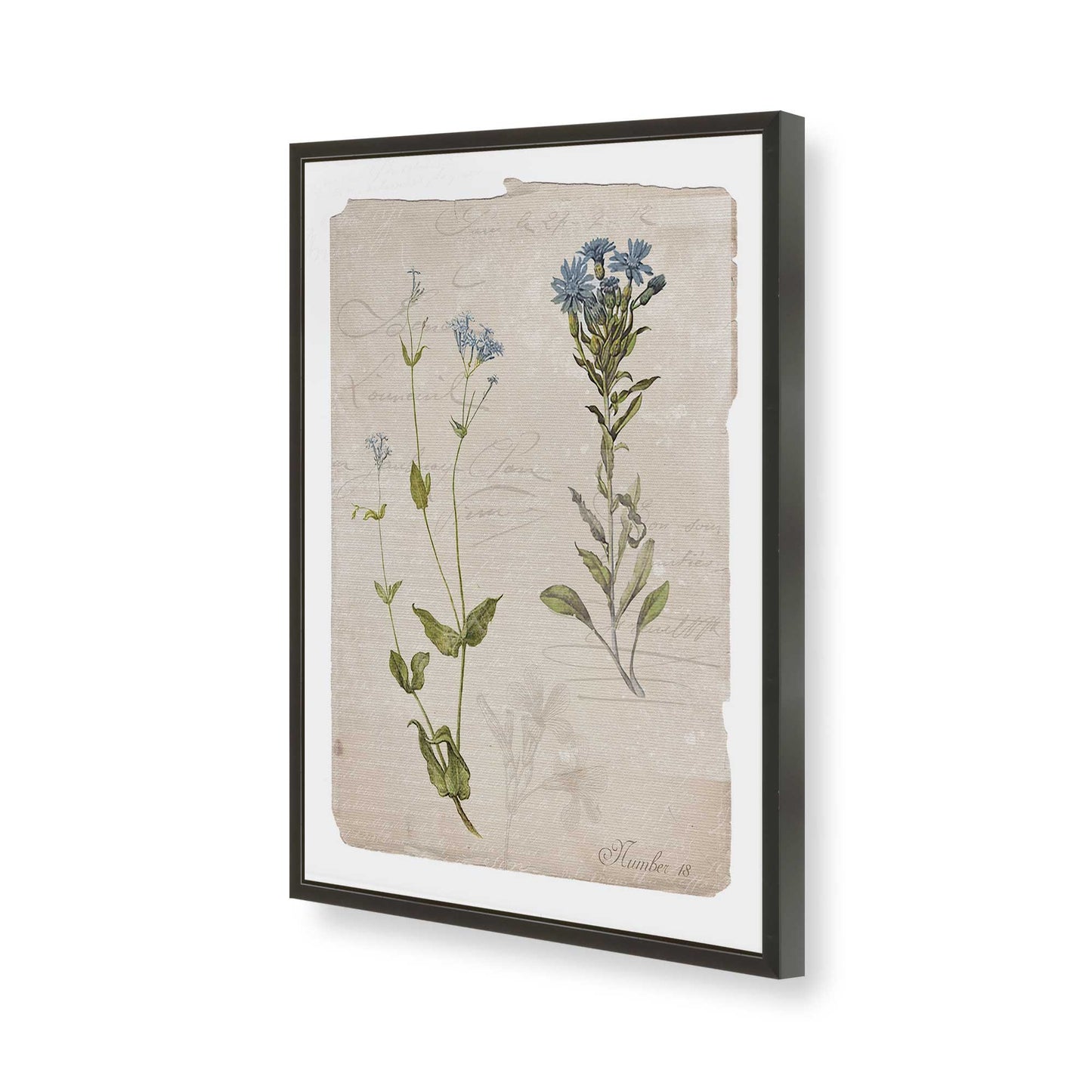 [Color:Satin Black], Picture of art in a Satin Black frame of the corner