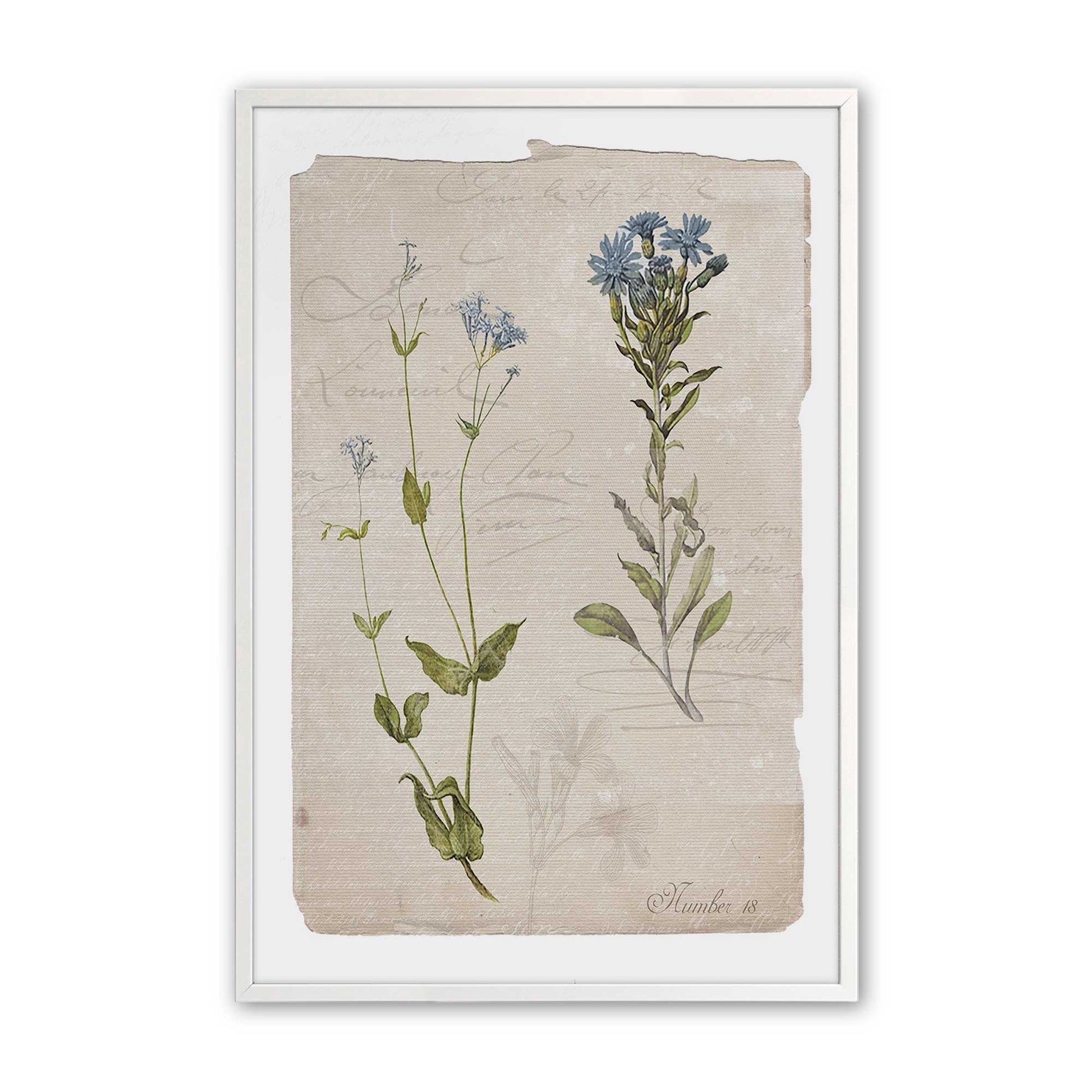 [Color:Opaque White], Picture of art in a Opaque White frame