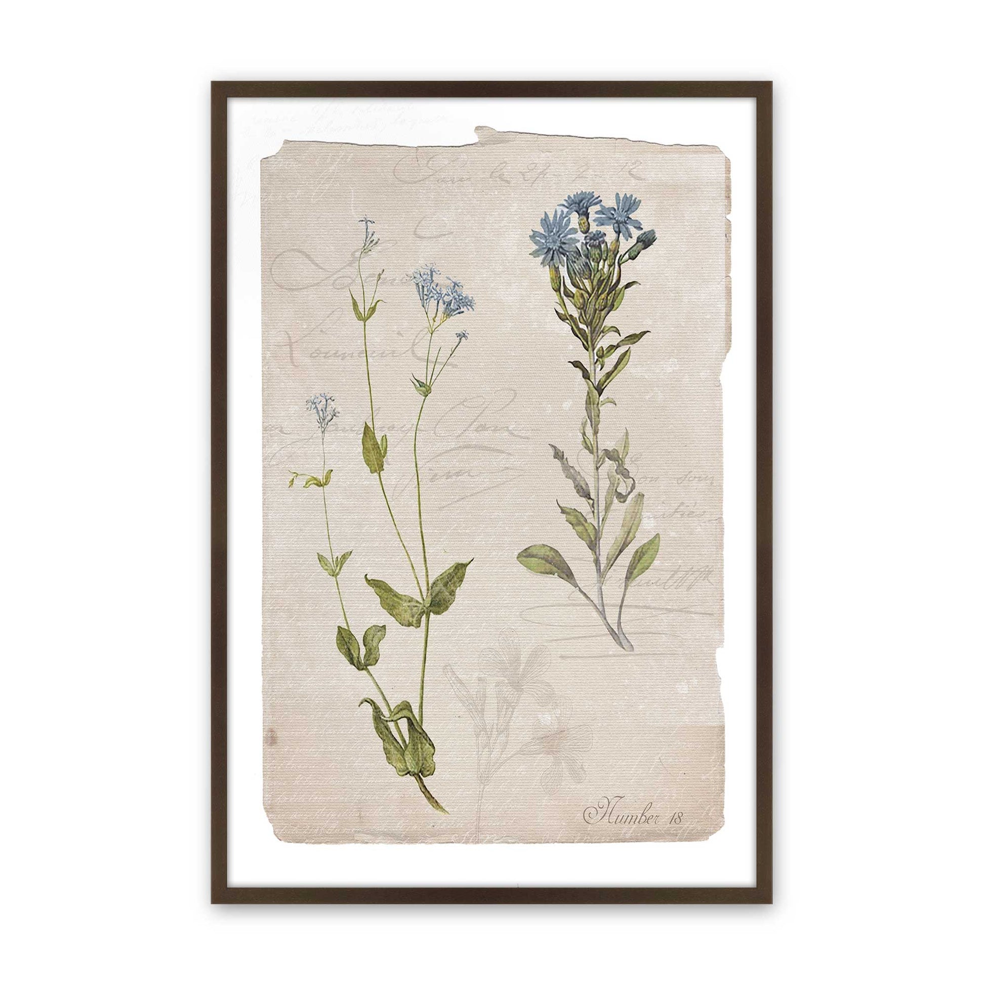 [Color:Brown], Picture of art in a Brown frame
