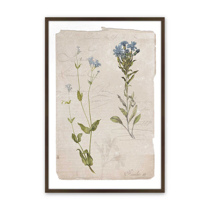 [Color:Belvinder Brown], Picture of art in a Belvinder Brown frame