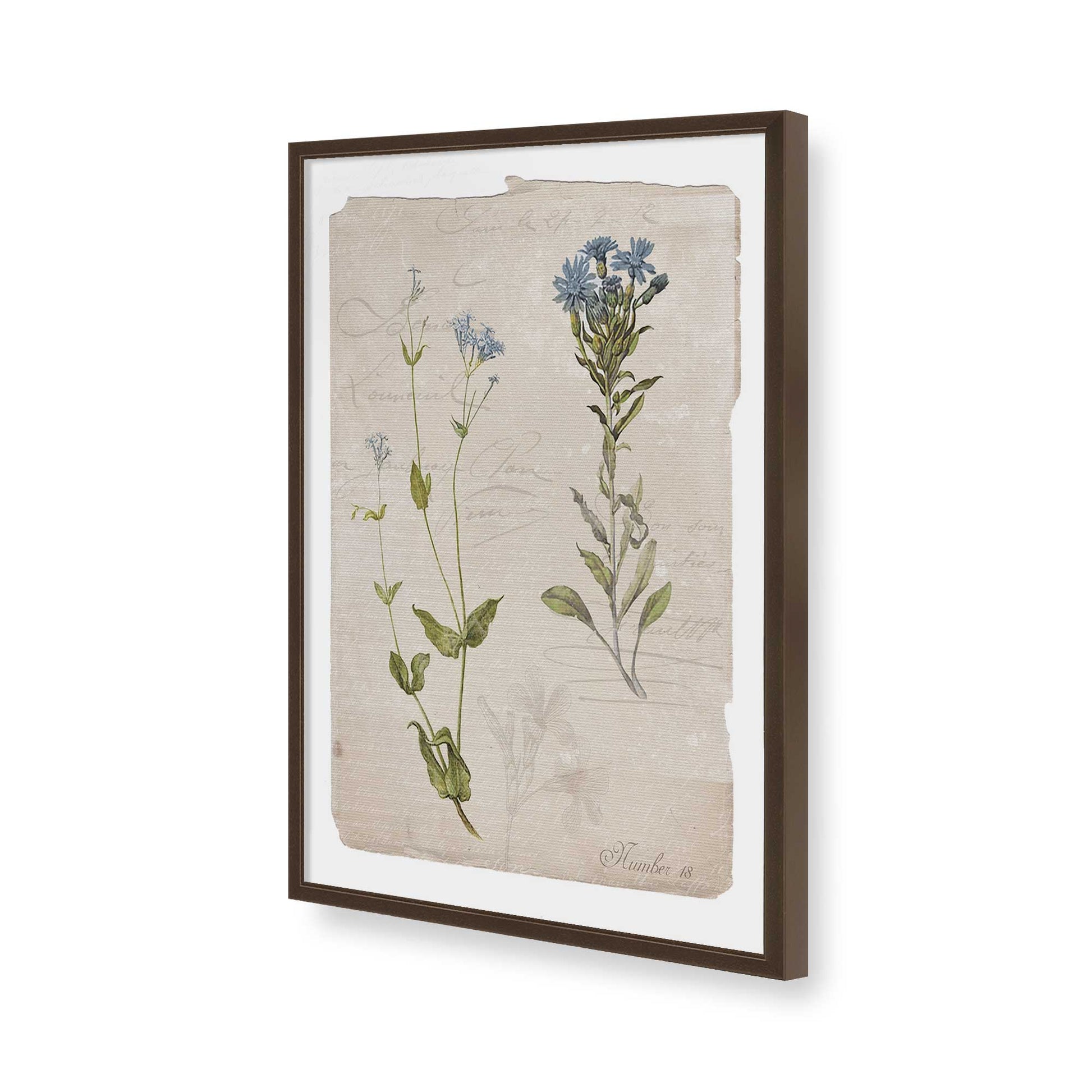 [Color:Belvinder Brown], Picture of art in a Belvinder Brown frame of the corner