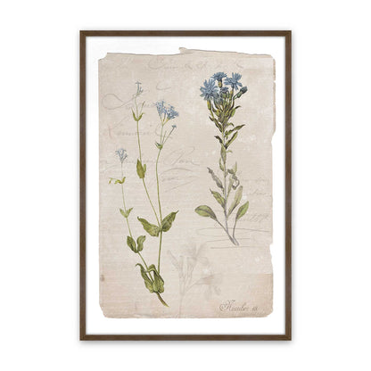 [Color:Walnut], Picture of art in a Walnut frame