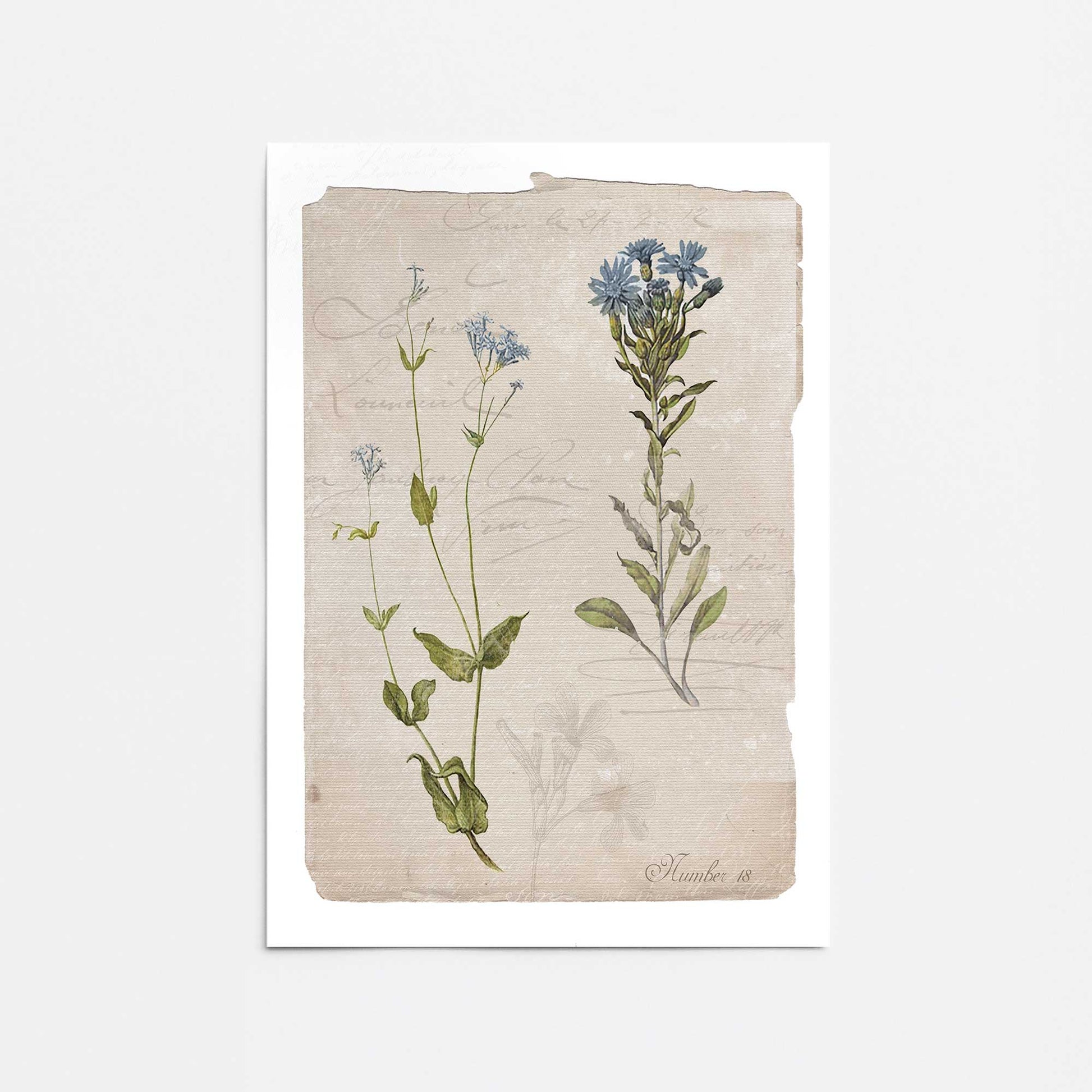 [Color:Rolled Print], Picture of close up of art