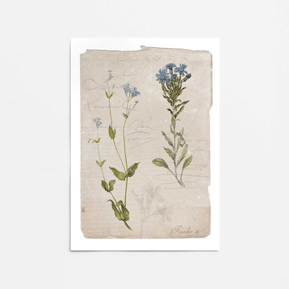 [Color:Rolled Print], Picture of close up of art