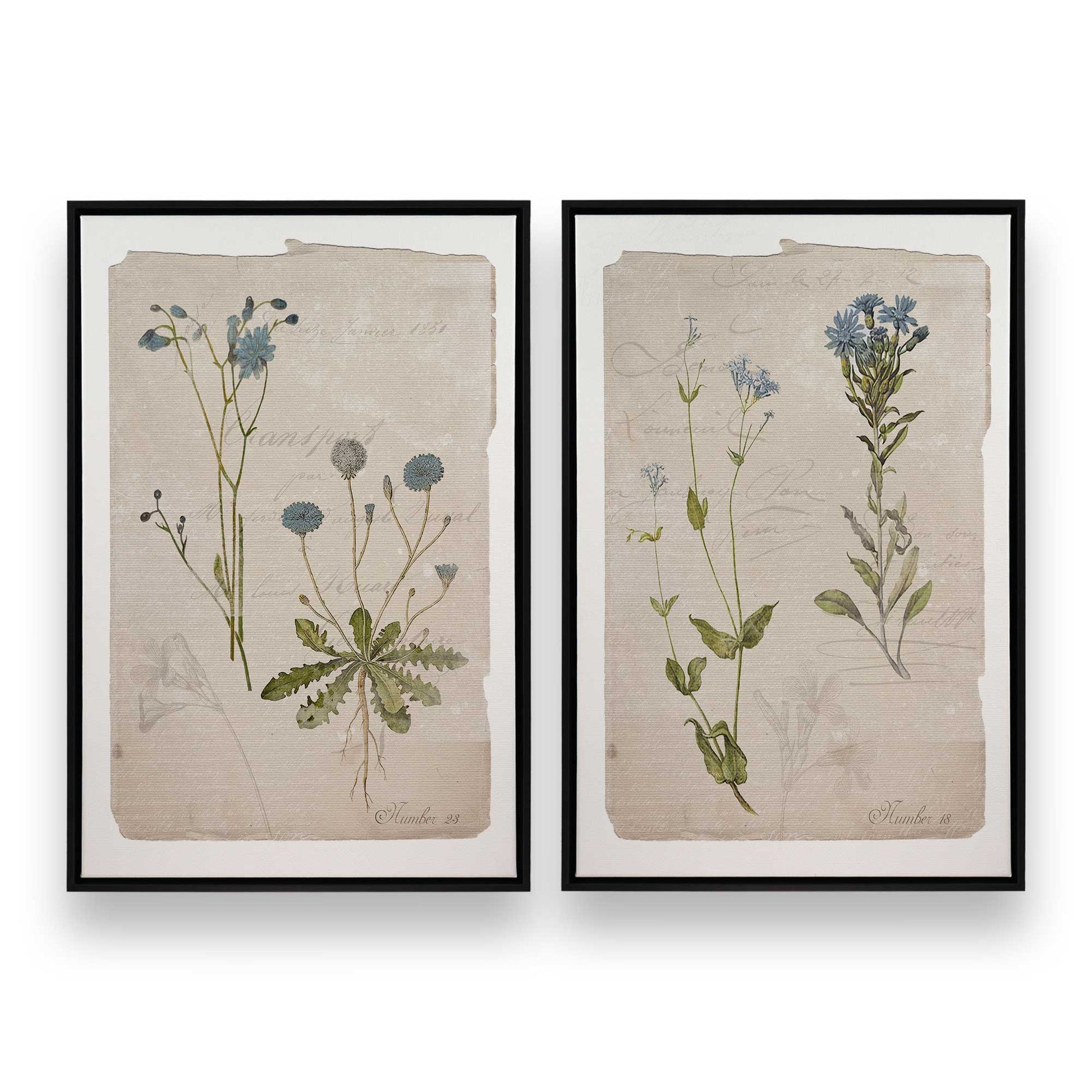 [Color:Satin Black], Picture of art in a Satin Black frame