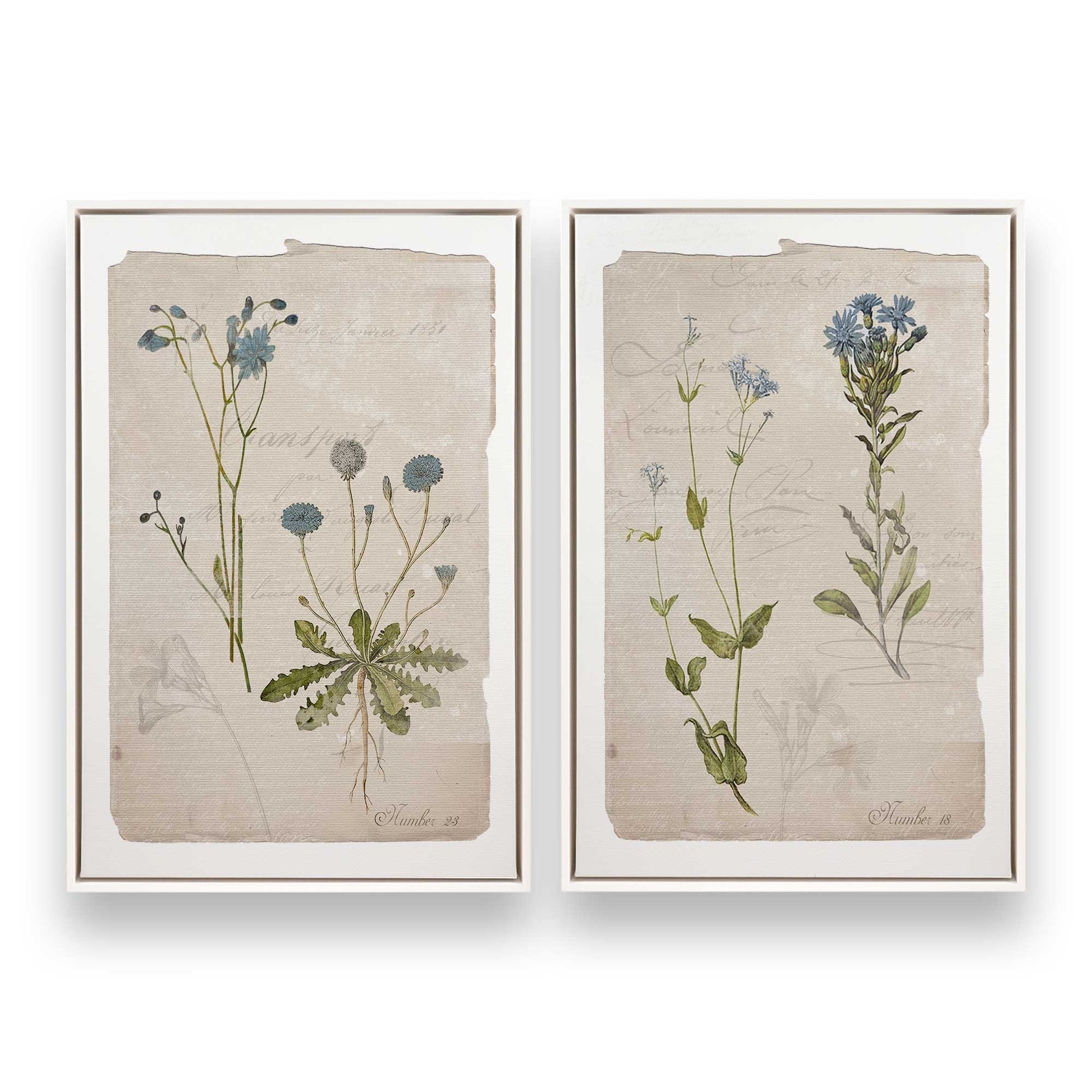 [Color:Opaque White], Picture of art in a White frame