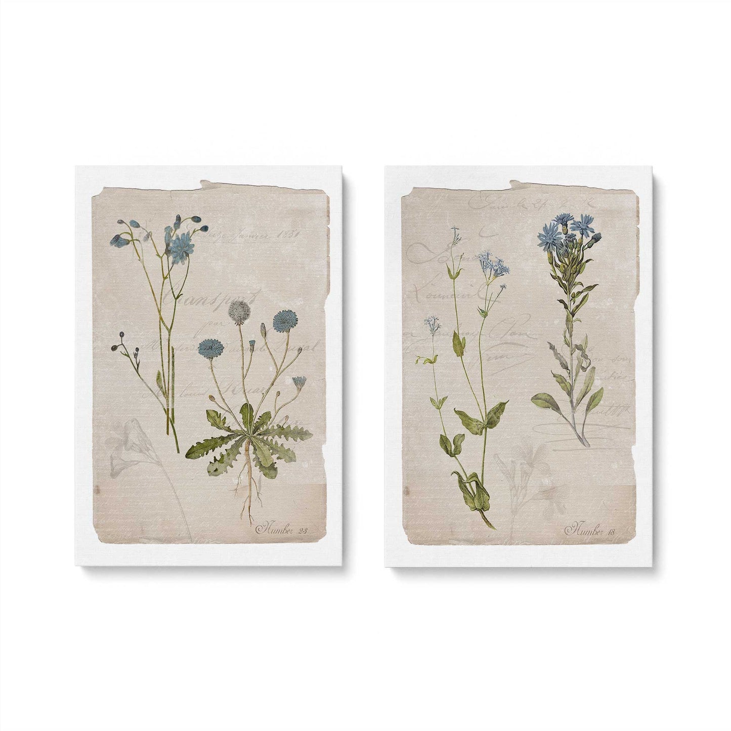 [Color:Stretched Canvas], Picture of art