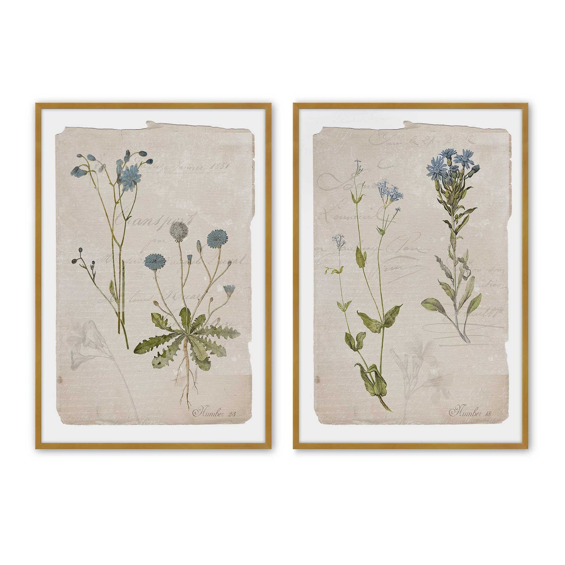 [Color:Polished Gold], Picture of art in a Polished Gold frame