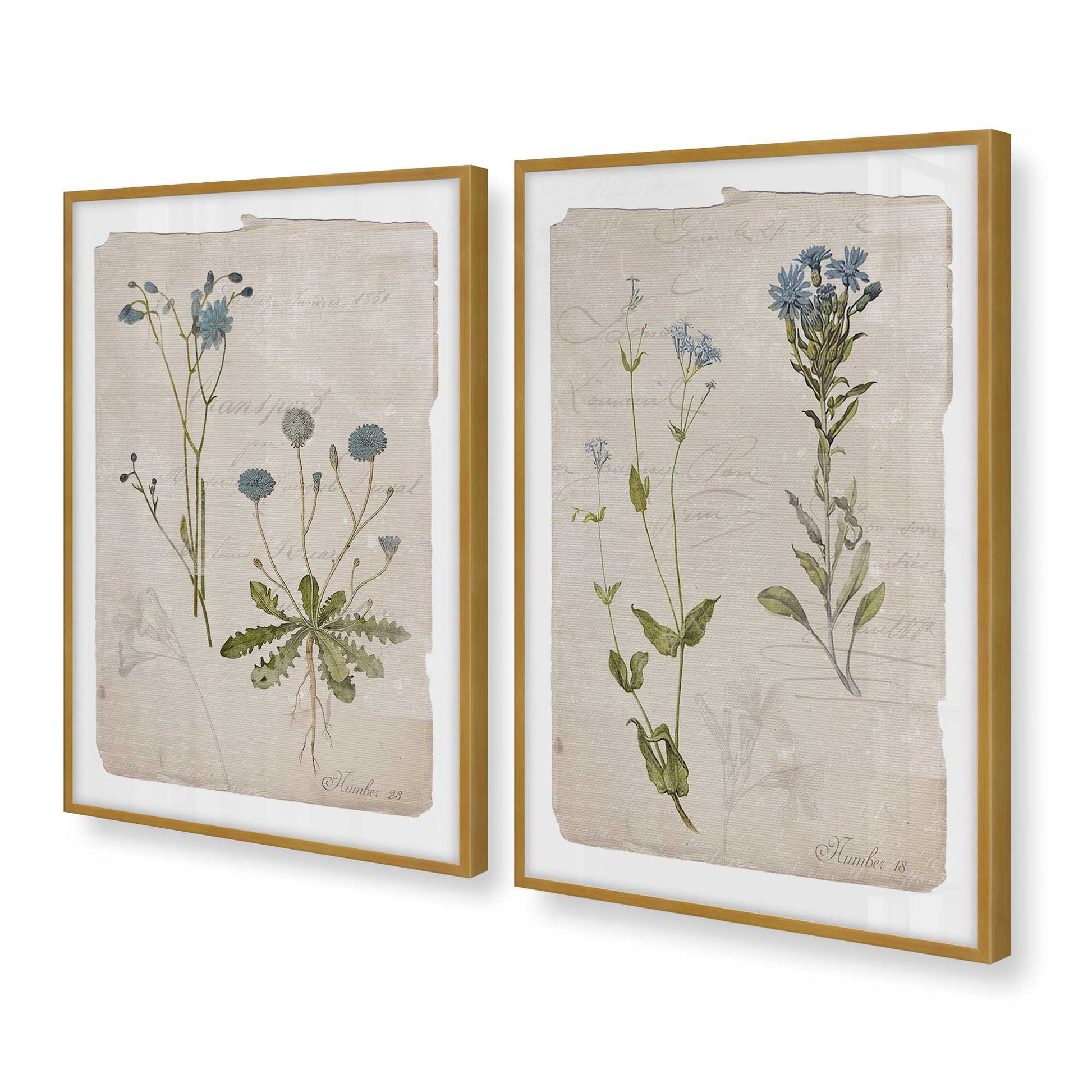 [Color:Polished Gold], Picture of art in a Polished Gold frame at an angle