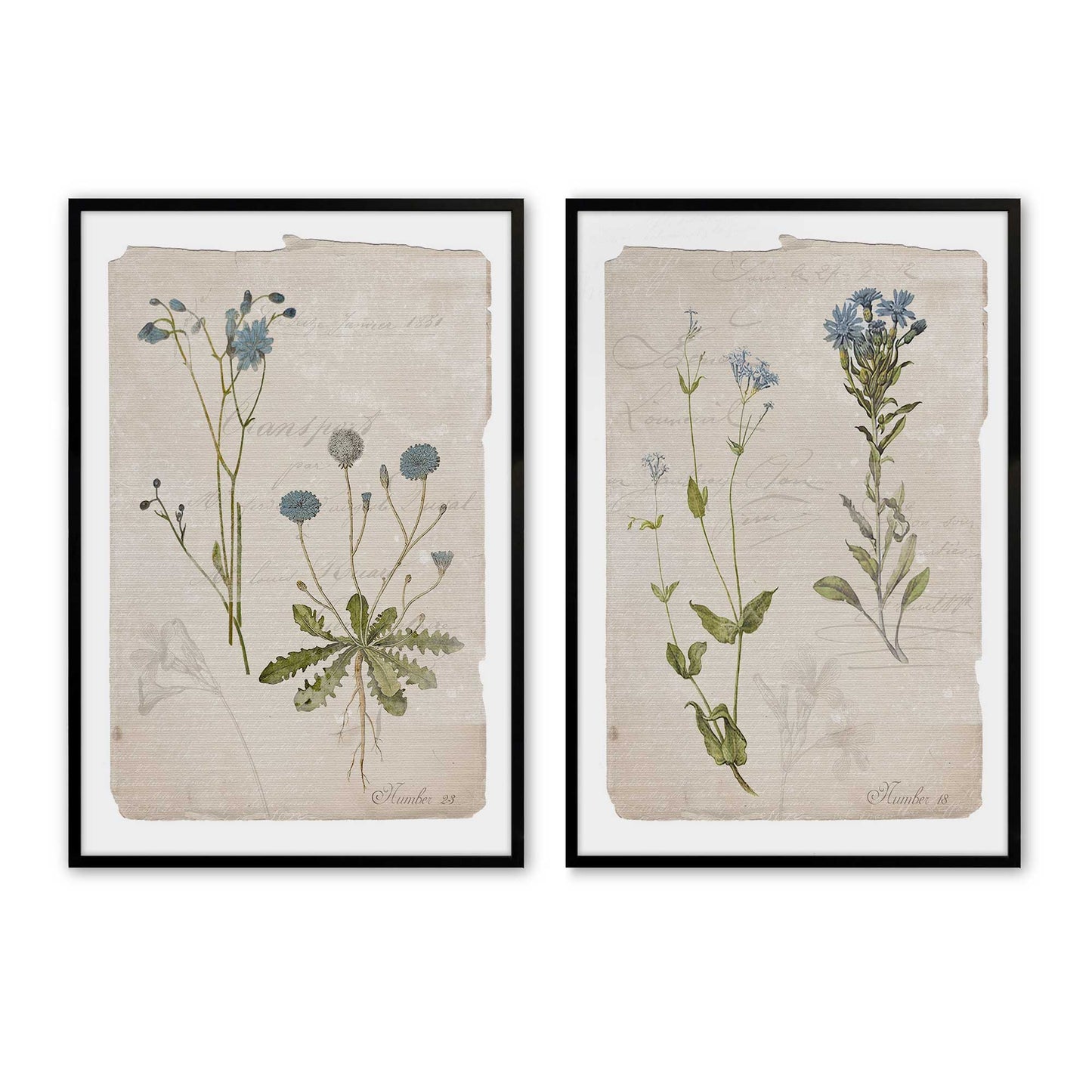 [Color:Satin Black], Picture of art in a Satin Black frame