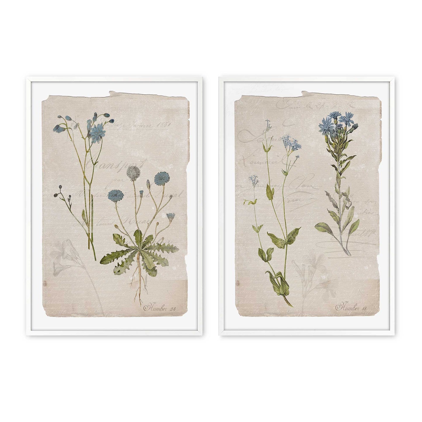 [Color:Opaque White], Picture of art in a Opaque White frame