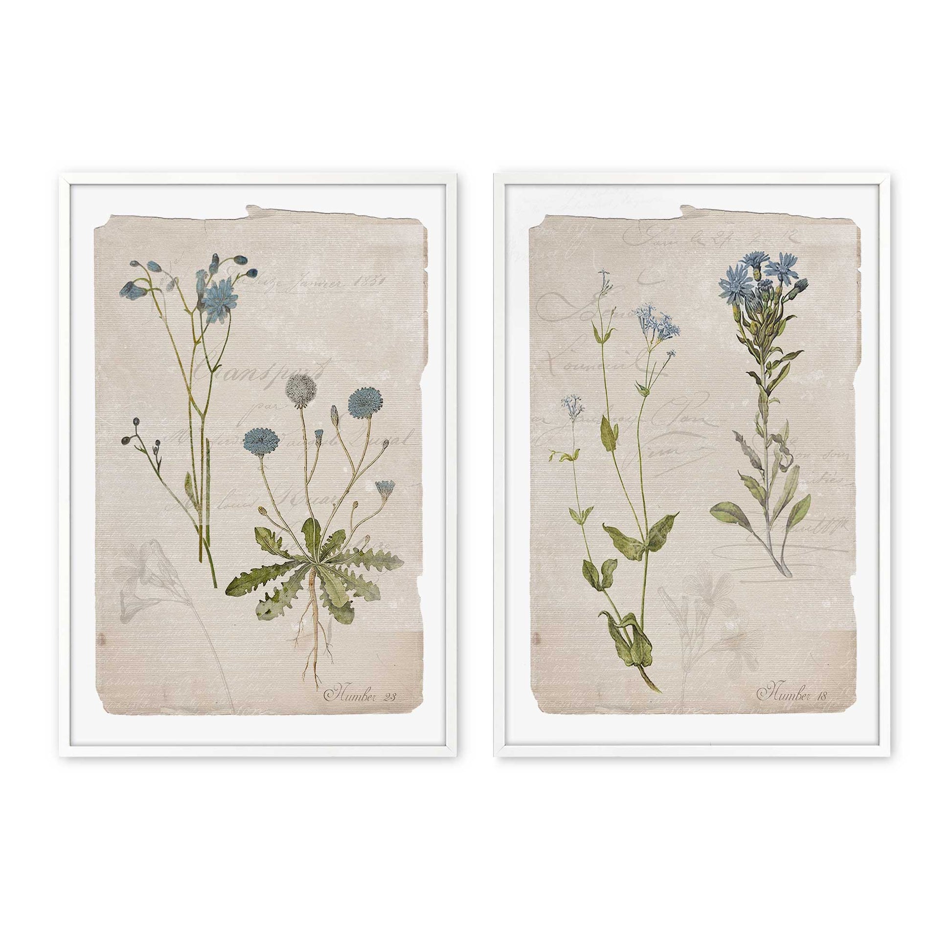 [Color:Opaque White], Picture of art in a Opaque White frame