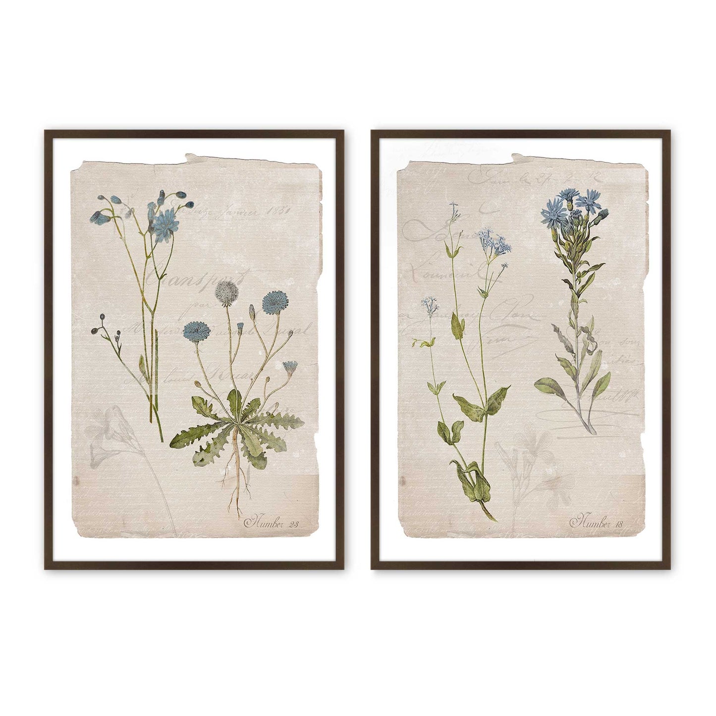 [Color:Belvinder Brown], Picture of art in a Belvinder Brown frame