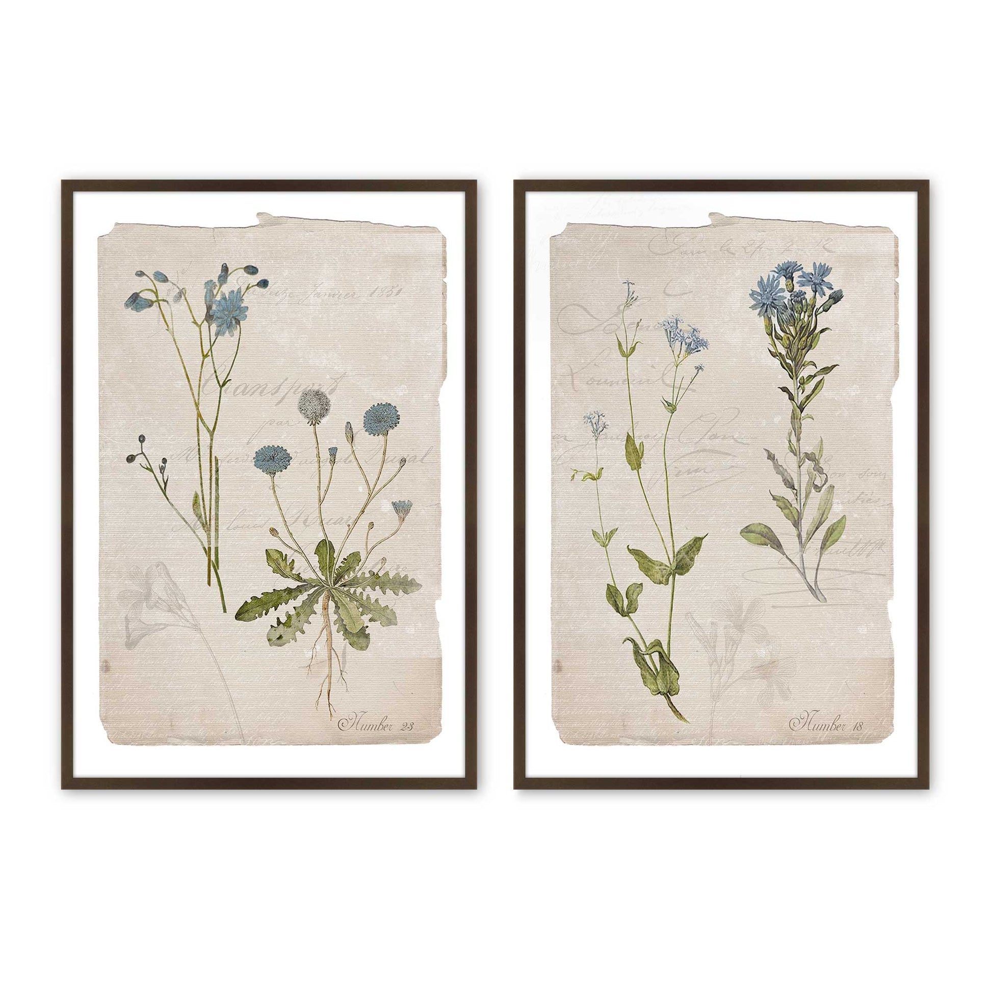 [Color:Belvinder Brown], Picture of art in a Belvinder Brown frame