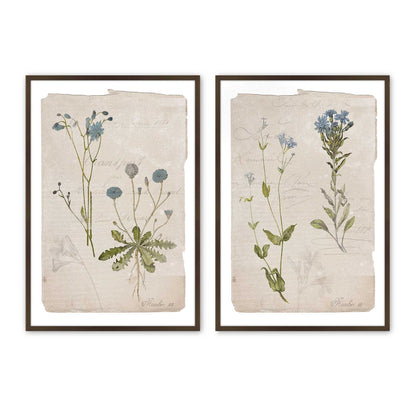 [Color:Belvinder Brown], Picture of art in a Belvinder Brown frame