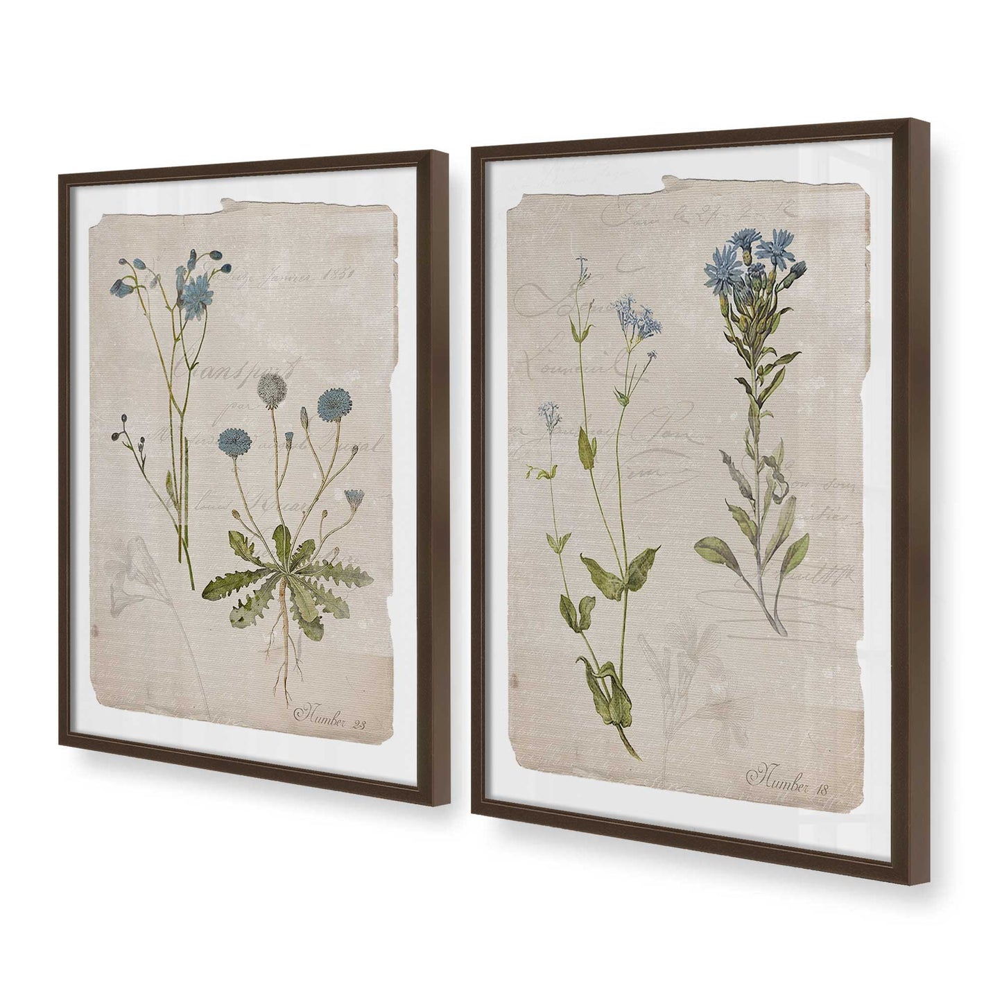 [Color:Belvinder Brown], Picture of art in a Belvinder Brown frame at an angle