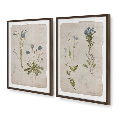 [Color:Belvinder Brown], Picture of art in a Belvinder Brown frame at an angle