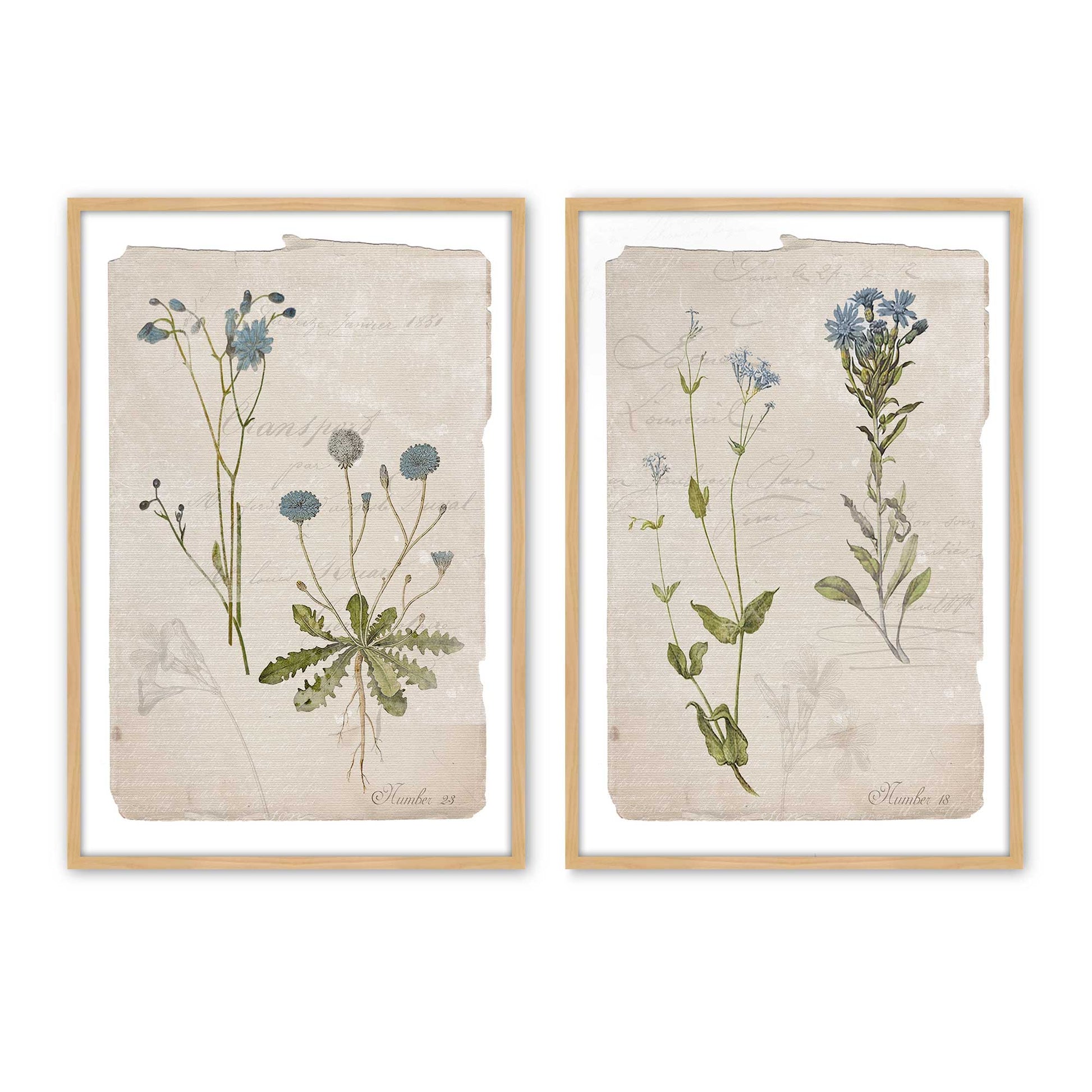 [Color:American Maple], Picture of art in a American Maple frame