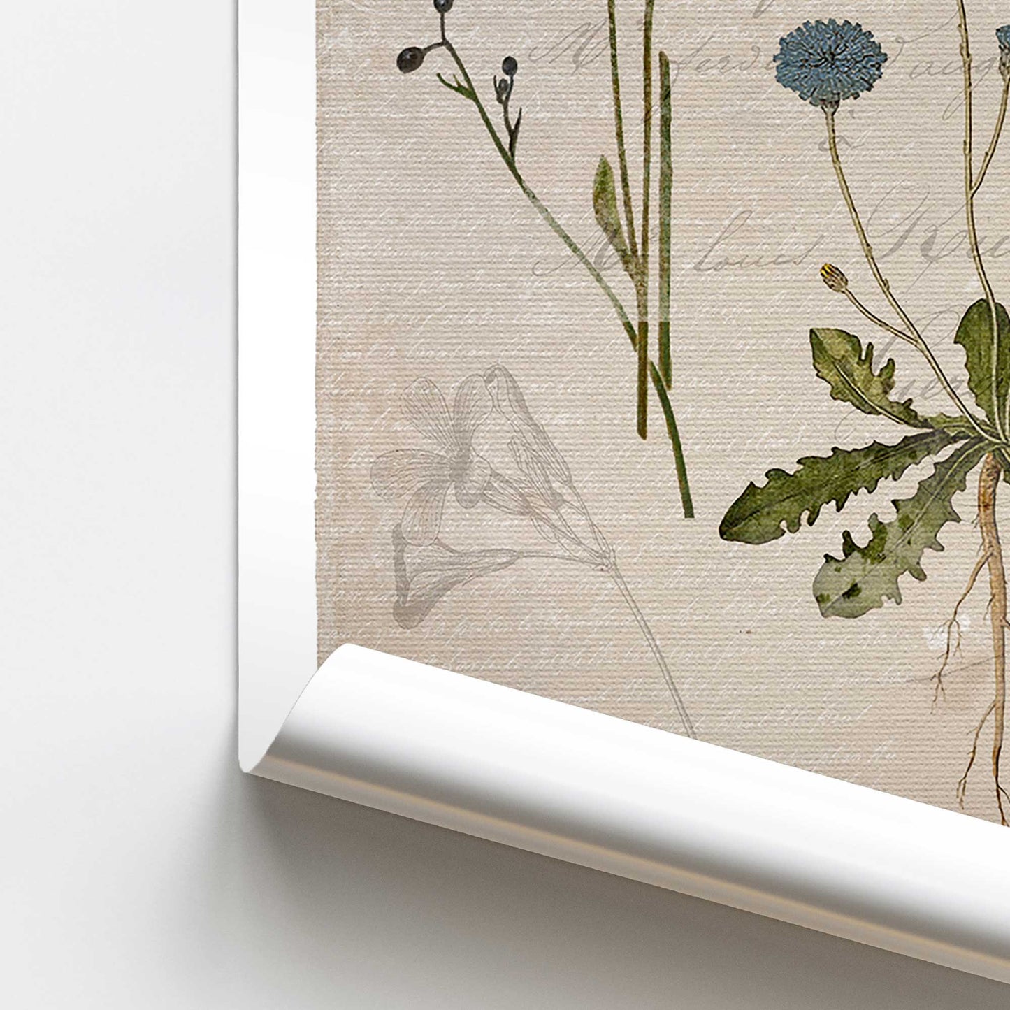 [color:Rolled Print], Picture of close up of art