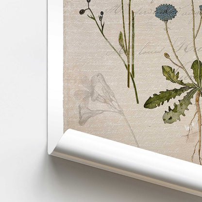 [color:Rolled Print], Picture of close up of art
