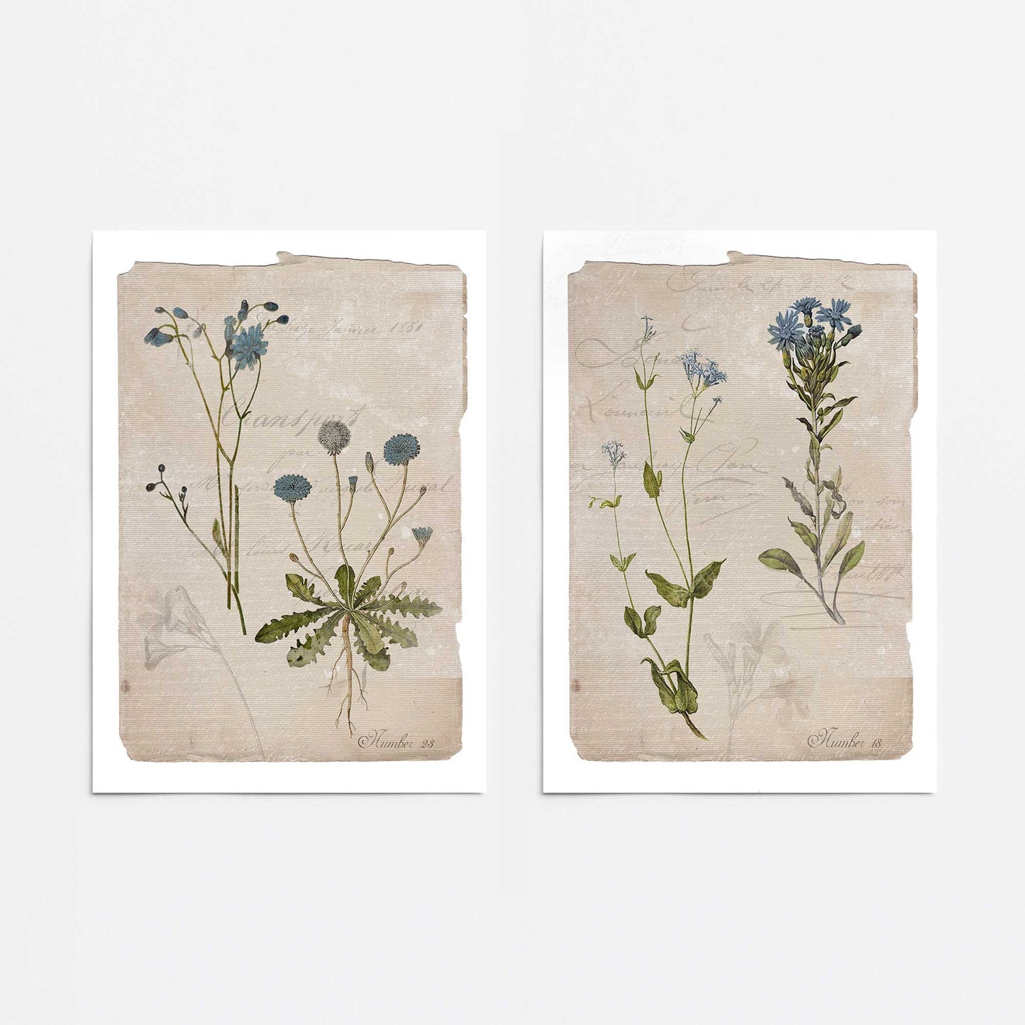 [color:Rolled Print], Picture of close up of art
