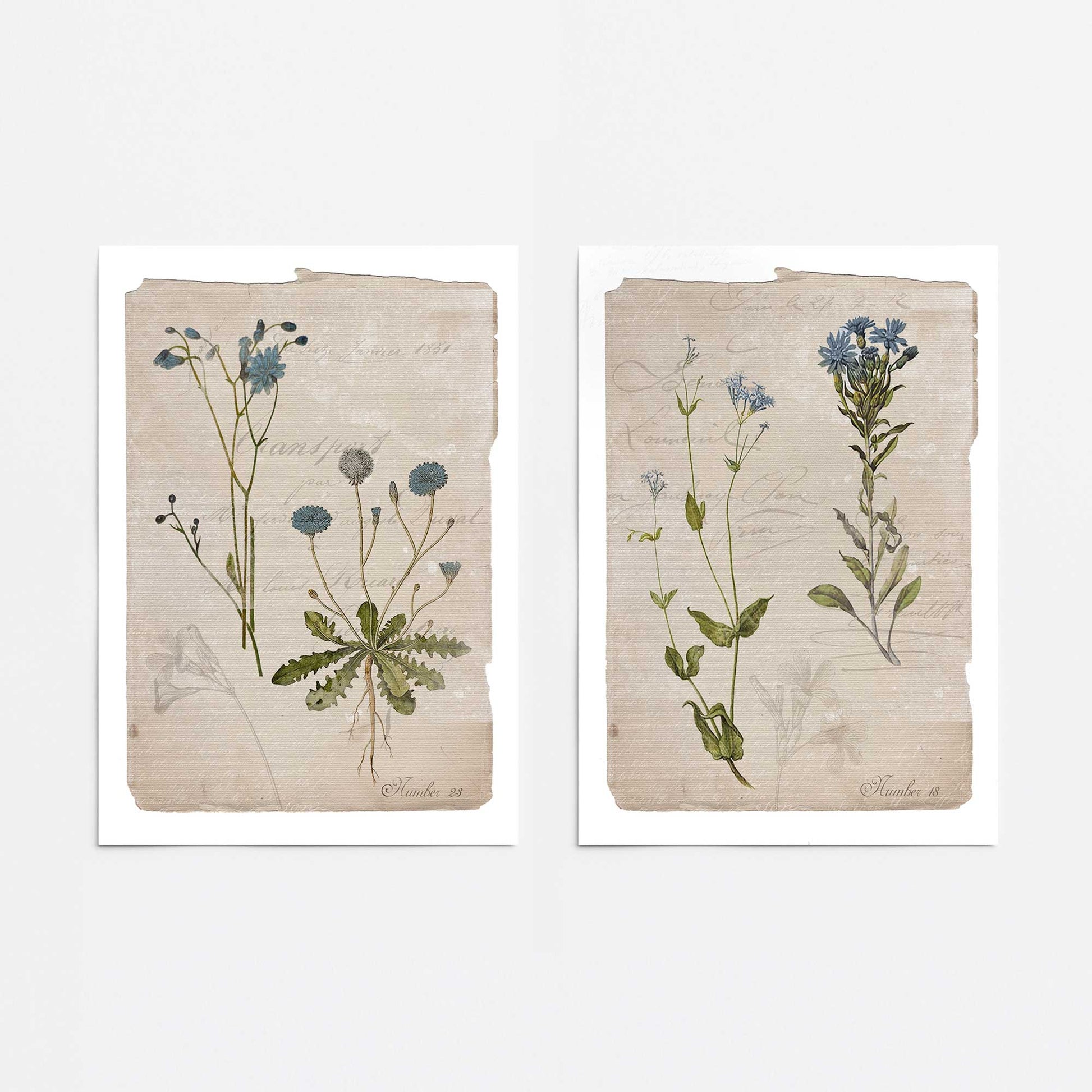 [color:Rolled Print], Picture of close up of art