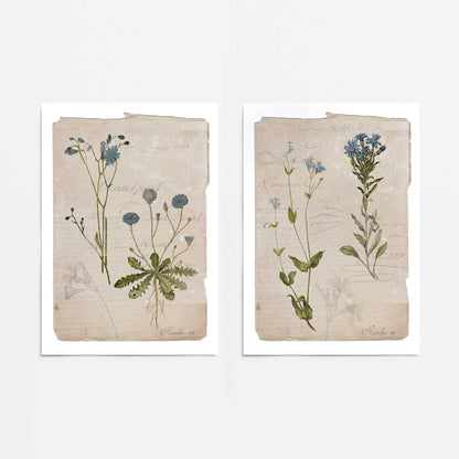 [color:Rolled Print], Picture of close up of art