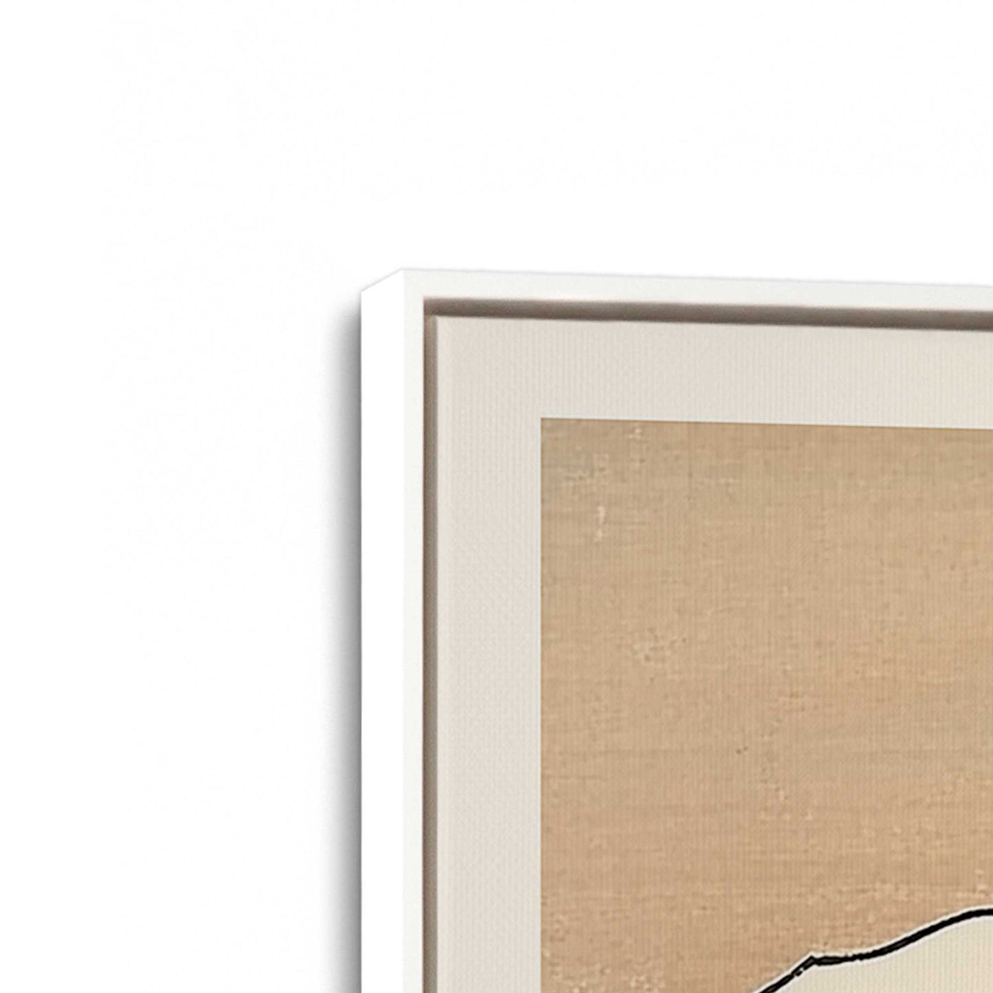 [Color:Opaque White], Picture of art in a White frame at an angle