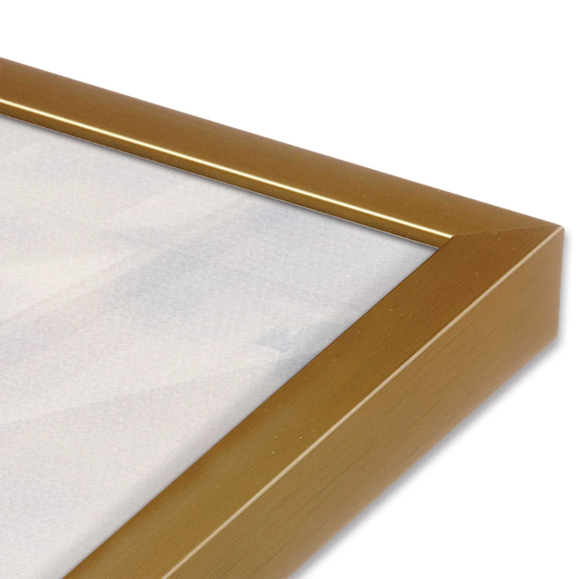 [Color:Polished Gold], Picture of art in a Polished Gold frame at an angle