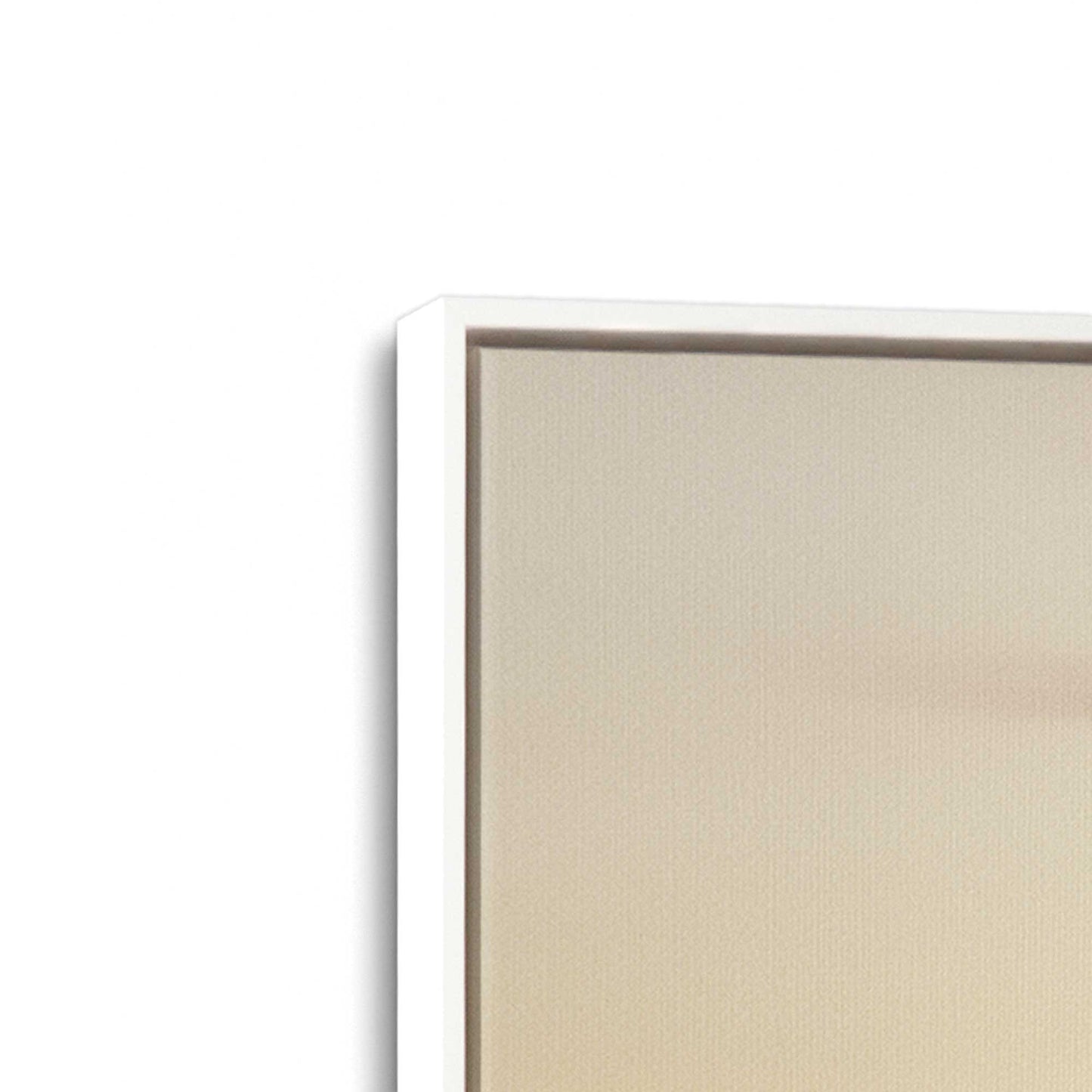 [Color:Opaque White], Picture of art in a White frame at an angle