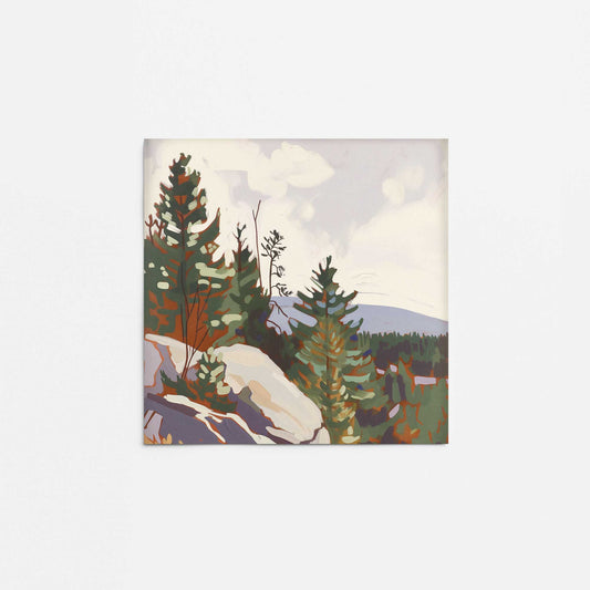 Mountain Rocks and Pines I Promotional Rolled Print