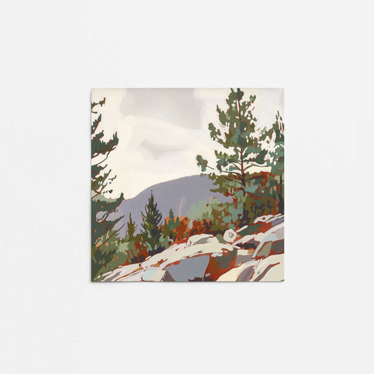 Mountain Rocks and Pines II Promotional Rolled Print