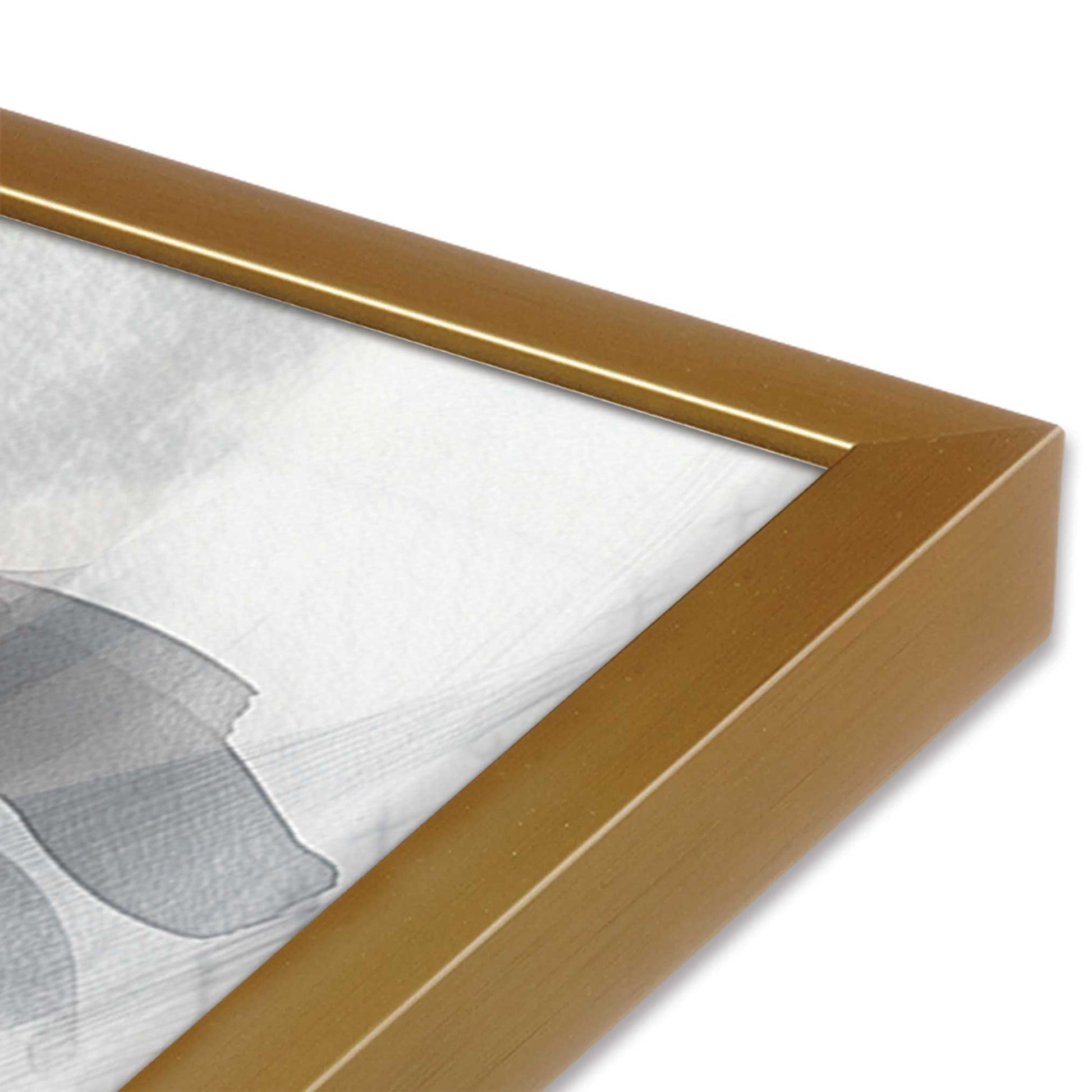 [Color:Polished Gold], Picture of art in a Polished Gold frame at an angle