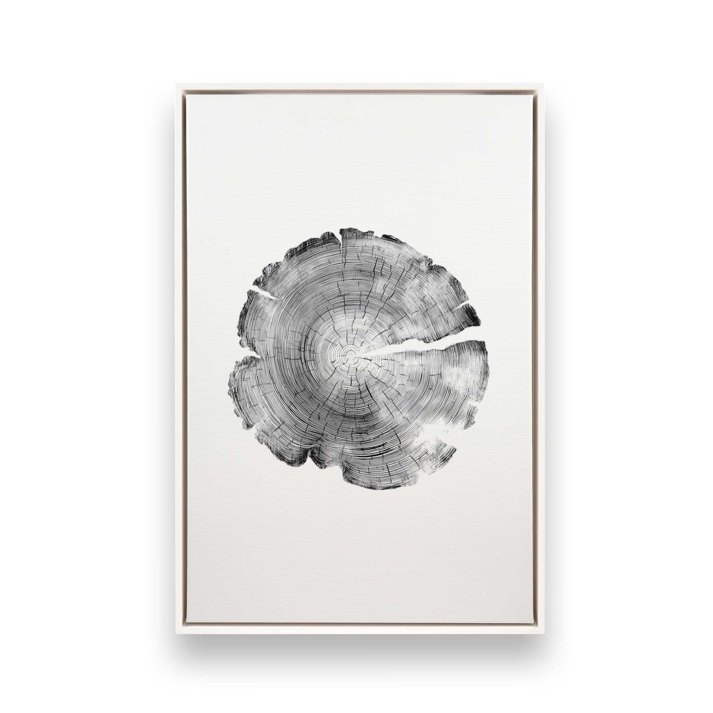 [Color:Opaque White], Picture of art in a White frame