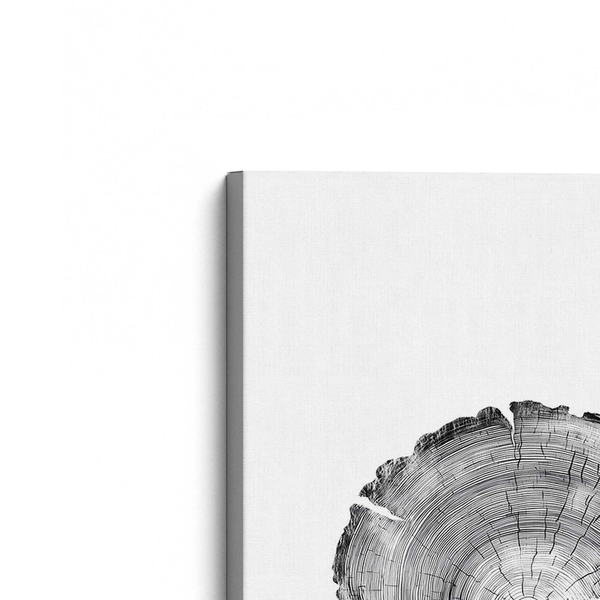 [Color:Stretched Canvas], Picture of the corner of the art